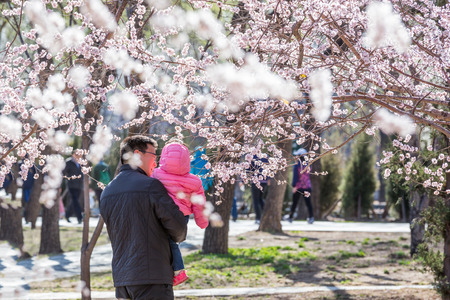 Summer Palace visitorsのeditorial素材