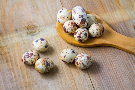 Quail eggsの写真素材