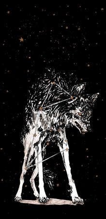 graphics, sketch with the image of a wolf with stars