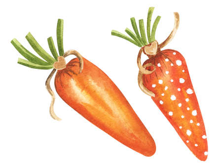 Easter carrots textile toys. Watercolor Easter. Watercolor hand drawn botanical illustration. Hand-sewn vintage toys.の写真素材
