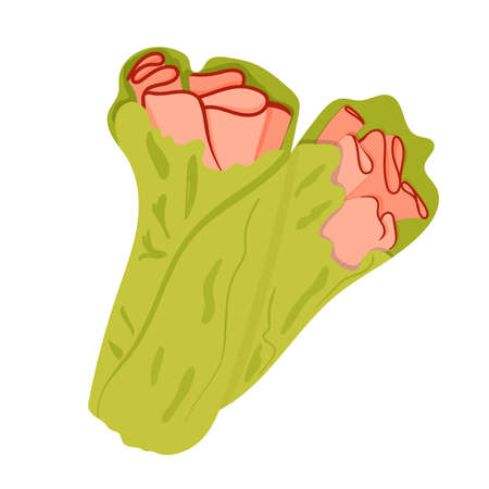 Ham , checken or turkey pieces wrap in mixed salad. Healthy food, proteinのイラスト素材