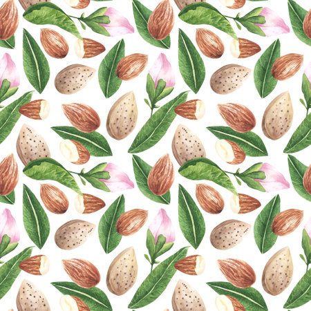 Watercolor pattern with almond nuts for decorating fabrics, packaging, postcards, kitchen utensils The botanical patternの写真素材