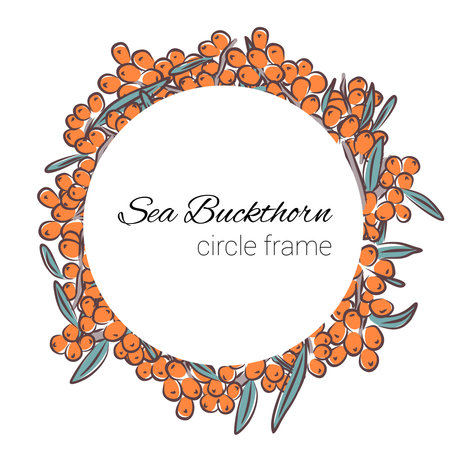 Hand drawn empty round frame with orange berries Hippophae, sea buckthorns, isolated on white floral illustration.のイラスト素材