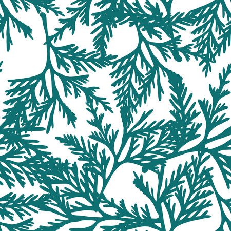 thuja tree branch.seamless pattern. eps 10 vector stock illustration. out line.のイラスト素材