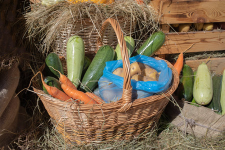 BAsket full of fresh raw vegetables. Basket with vegetable on grass. Carrot, potato, marrowの写真素材