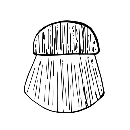 Vector wooden brush for dish washing. Hand drawn shaving brash. Eco friendly element.のイラスト素材