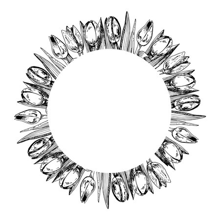 Seamless round border with hand drawn tulips sketch style, vector illustration isolated on white background. Decorative circle frame with flowers for designのイラスト素材