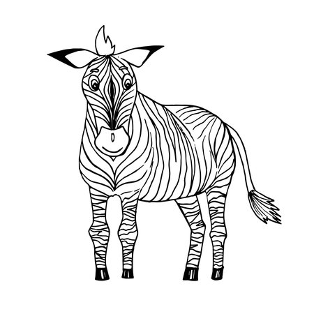 Coloring pages. Cute beautiful zebra stands and smiles.のイラスト素材