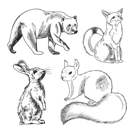 Forest animals with nature elements. Bear, fox, rabbit, squirrel. Textile composition, hand drawn style print. Vector illustration.のイラスト素材