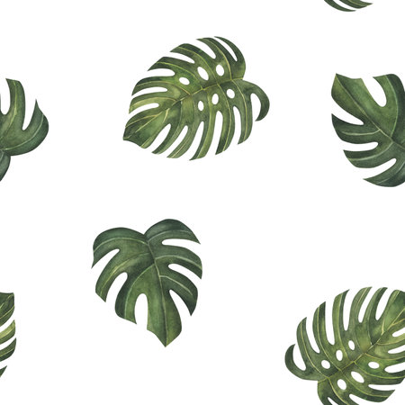 Tropical leaves pattern. Green leaf monstera seamless. Artistic photo collage for floral print. Isolated on white background. For textile, paper, design, fabricの写真素材