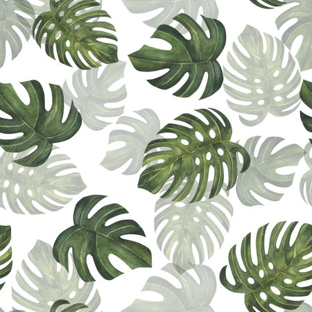 Tropical leaves pattern. Green leaf monstera seamless. Artistic photo collage for floral print. Isolated on white background. For textile, paper, design, fabricの写真素材