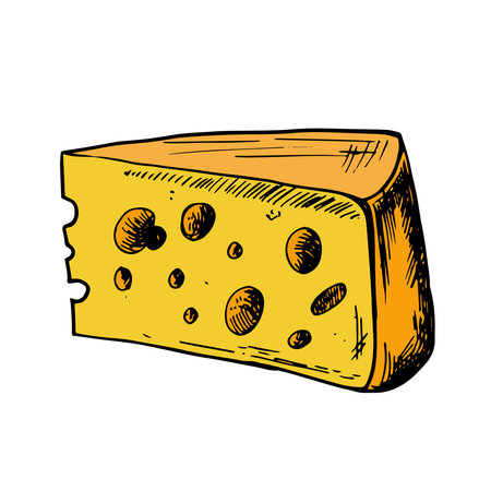 Vector colored hand drawn illustration with cheese piece . Hand drawn Sketch. Engraving style image. For menu, flyer, advertising, designのイラスト素材