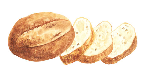 Watercolor hand drawn sketch bread. Painted isolated illustration on white background for packaging designの写真素材