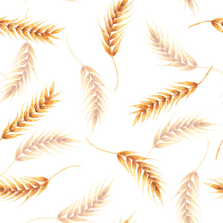 Ears wheat spikelets on a white background. Watercolor seamless pattern hand drawn. For textile, fabric, wallpaperの写真素材