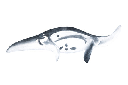 Stingray fish watercolor cute animal and plant Marine life under sea illustration. realistic ocean marine scenes isolated for aquarium or sea waters collectionの写真素材