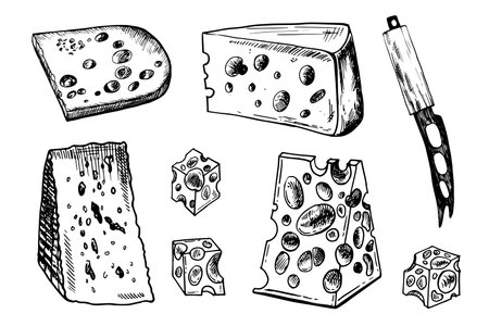 Vector hand drawn illustration with cheese pieces . Hand drawn Sketch. Engraving style image. Cheese knife specialのイラスト素材