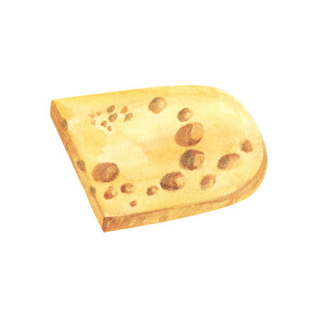 Watercolor illustration of cheese isolated on white. French dairy product. Hand drawn food for menu, recipe, label, packaging design. Slice of cheese with holes.の写真素材