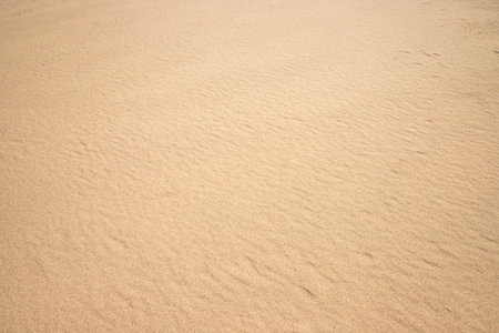 Fine beach sand smooth texture in summer sun close up photo. Nice beige background for your projects