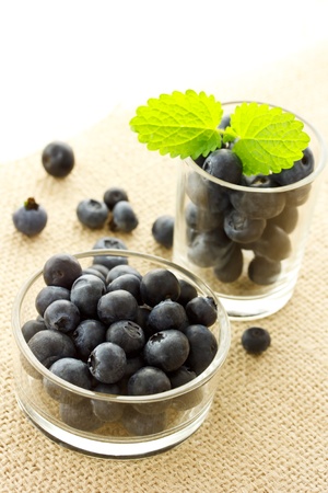 Blueberries in glass containers with lemon balmの写真素材