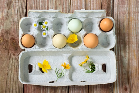 Organic colorful eggs with small flowersの写真素材