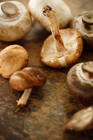 Shitake, Button and Crimini Mushroomsの写真素材