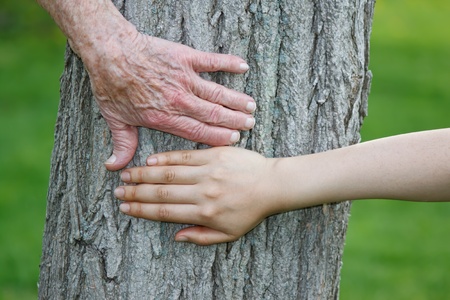 Old and Young Hands on Tree Trunkの写真素材