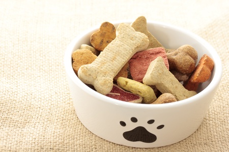 Dog food in bowlの写真素材