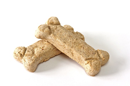 Dog Biscuitsの写真素材
