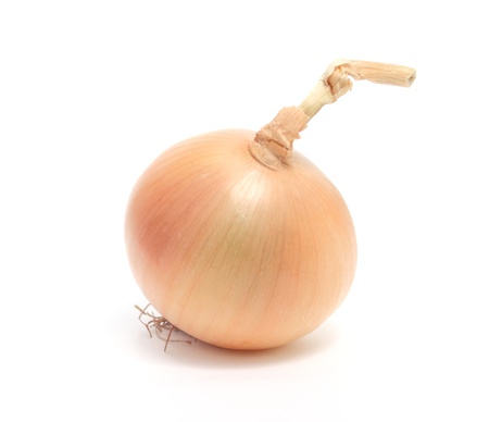 Onionの写真素材