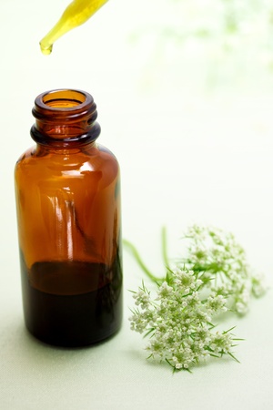 Herbal medicine with dropper bottle and Anise flowersの写真素材