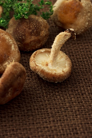 Shitake mushroom and thymeの写真素材