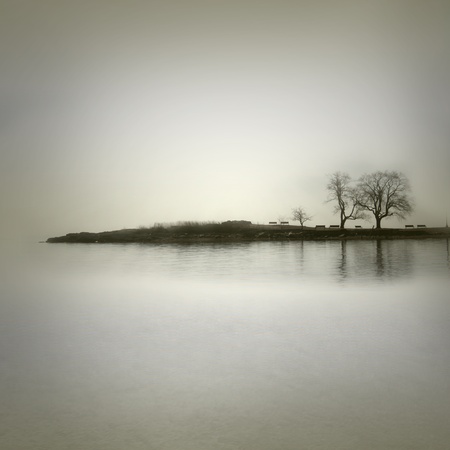 Landscape in sepia tones with isolated trees の写真素材