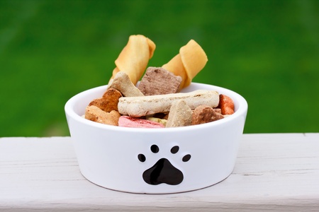 Dog food a in dog bowl の写真素材