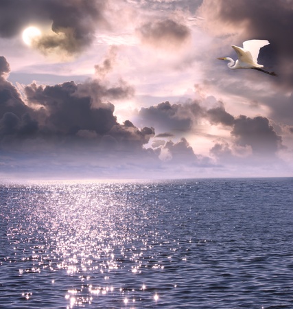 Beautiful white egret flying over the ocean under the moon lightの写真素材