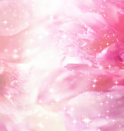 Pink Peony Flowersの写真素材