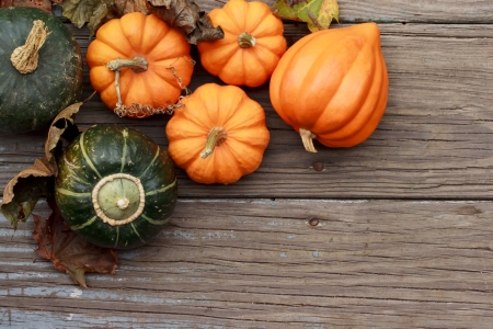Autumn pumpkins with leaves  on wooden boardの写真素材
