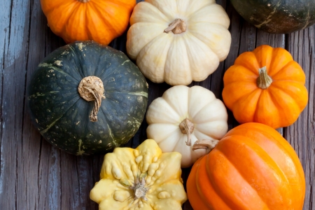 Autumn pumpkins  on wooden boardの写真素材