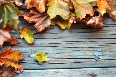 Autumn leaves on wooden boardの写真素材