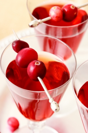 Berry juice with cranberry garnish の写真素材