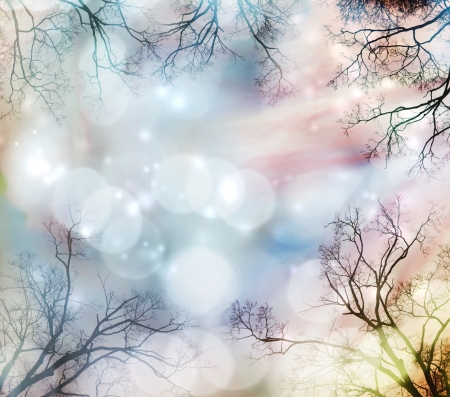 Abstract lights background with tree border の写真素材