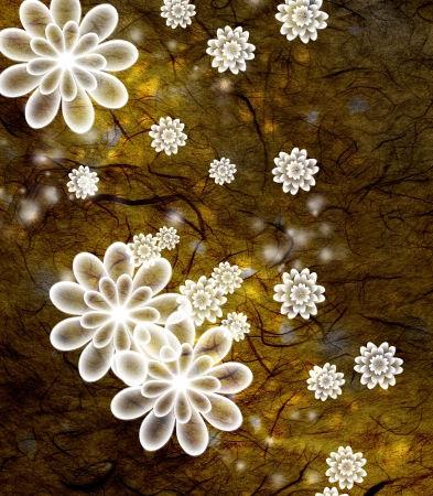 Chrysanthemum blossoms and textured backgroundの写真素材