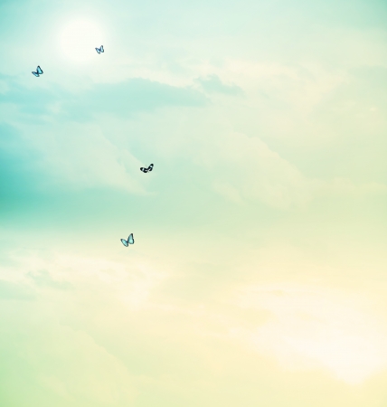Blue butterflies on the cloudscapeの写真素材