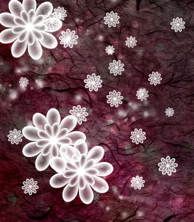 Chrysanthemum blossoms and textured backgroundの写真素材