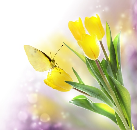Yellow Tulips with a Butterfly on Lavender Light Backgroundの写真素材