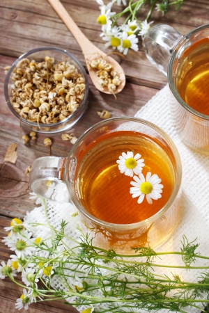 Dried and fresh and brewed Chamomile Teaの写真素材