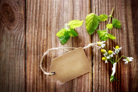 Fresh mint and chamomile with a tag on a rustic table with late day sunlightの写真素材