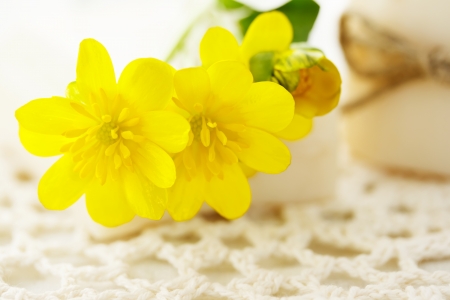 Yellow flowers with bars of soap on the clothの写真素材