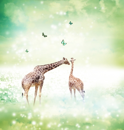 Two Giraffes, mother and child in friendship or love theme image at a fantasy landscapeの写真素材