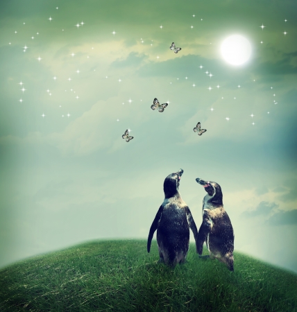 Two penguin friendship or love theme image at a fantasy landscapeの写真素材