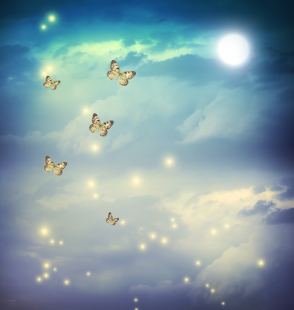 Butterflies in a fantasy night landscape with stars and moonの写真素材